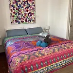 Terra Aloe 3*