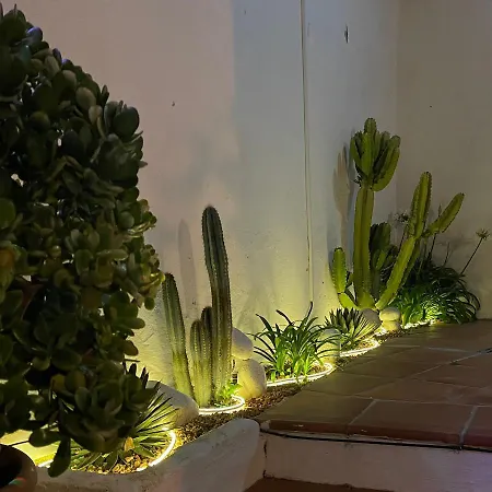 Terra Aloe トレモリノス