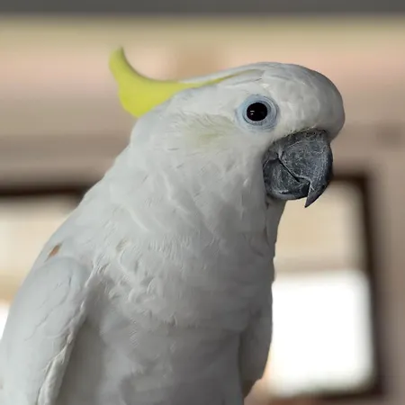 Pensionat Terra Aloe