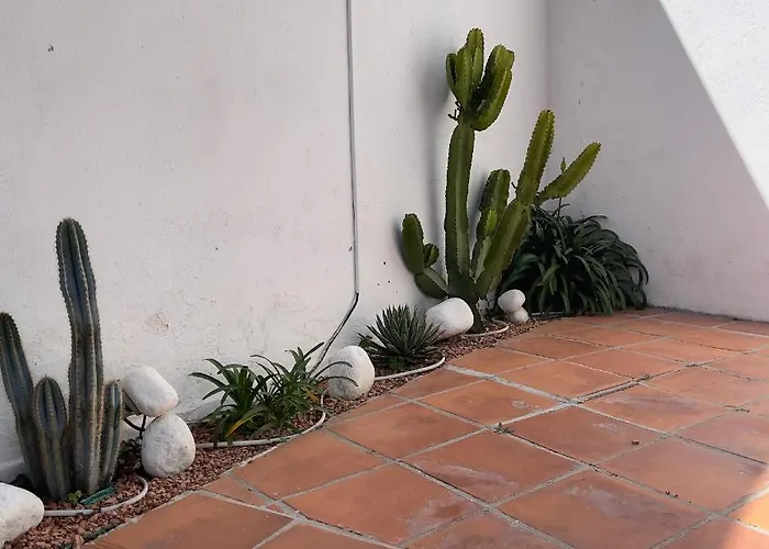 Terra Aloe Pensionat