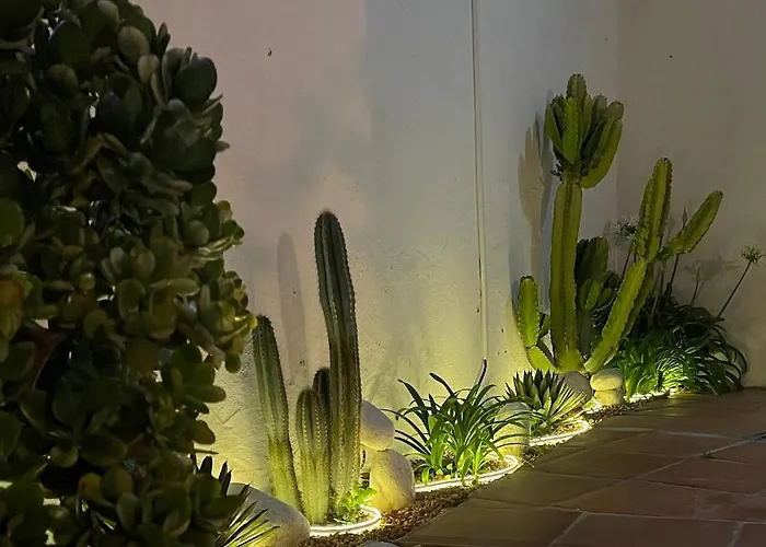 Terra Aloe Torremolinos