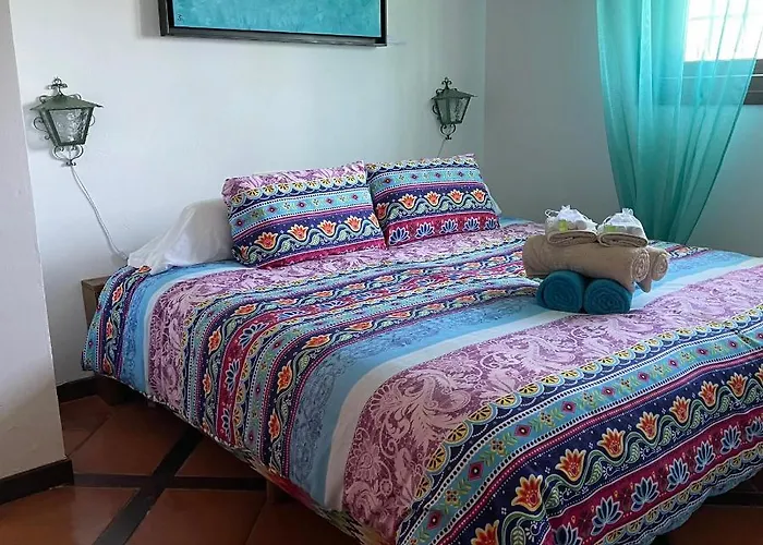 Terra Aloe Guest house